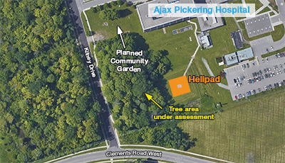 Ajax Pickering Hospital - Satellite Image