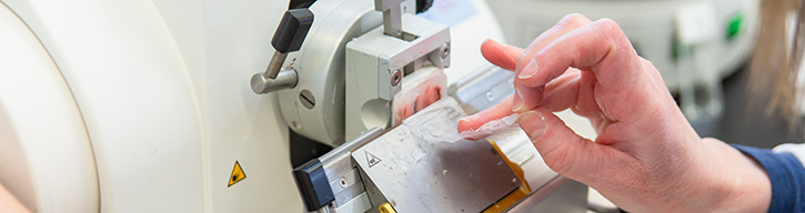 Laboratory technician prepares a sample.