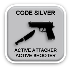 Code Silver - Armed Person
