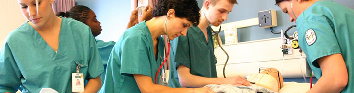 Students training